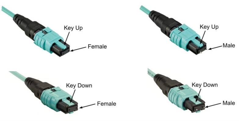 MPO Harness breakout cable,MPO-8 APC (Female) to 4 LC UPC Duplex, 8 Fibers, Single Mode (OS2), Plenum (OFNP), 0.35dB Max, Yellow