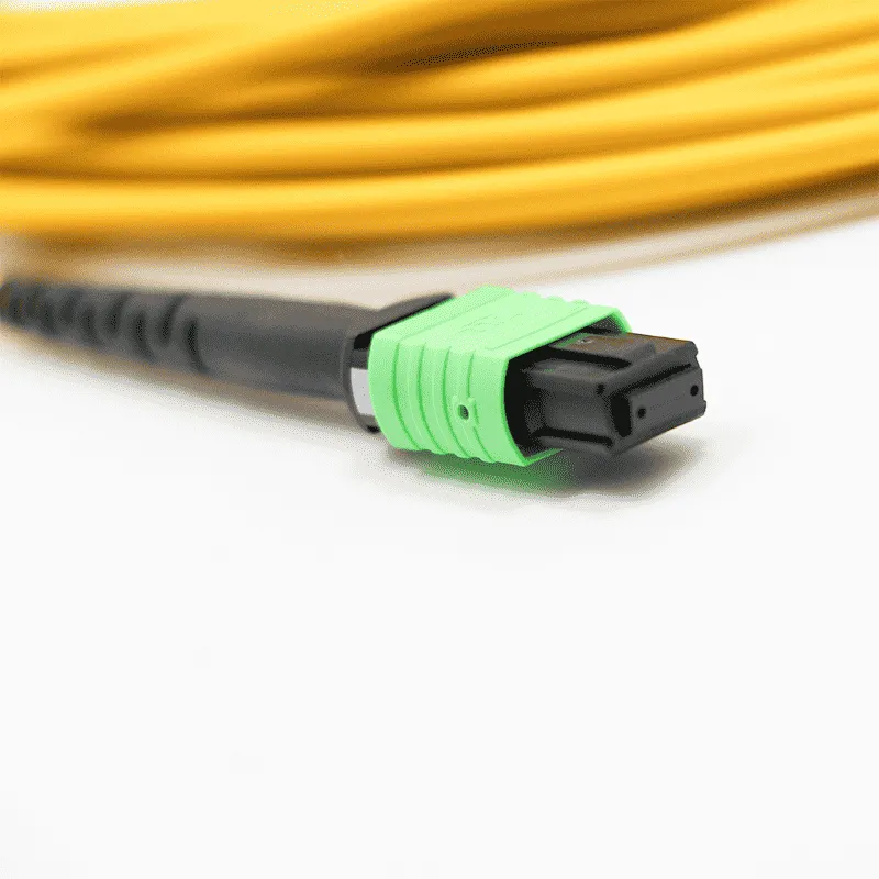 MPO Jumper 24 fibers SM-03