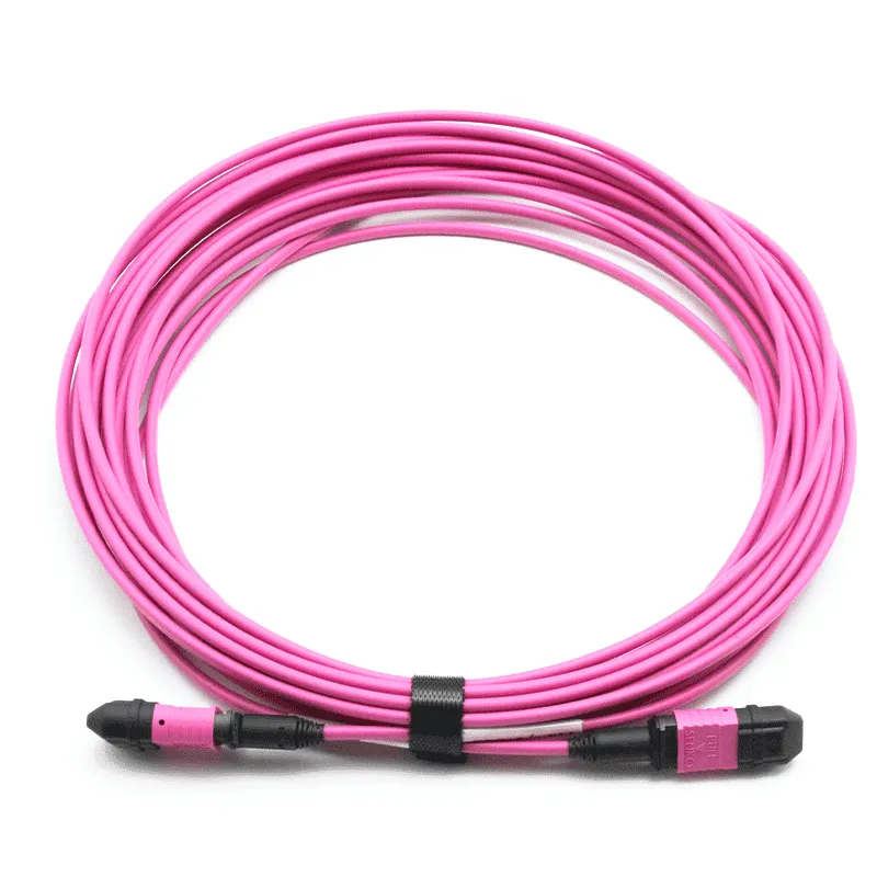 MPO Jumper, MPO-24 UPC (Female) to MPO-24 UPC (Female), 24 Fibers, Multimode (OM4), Plenum (OFNP), 0.35dB Max, Type A, Magenta