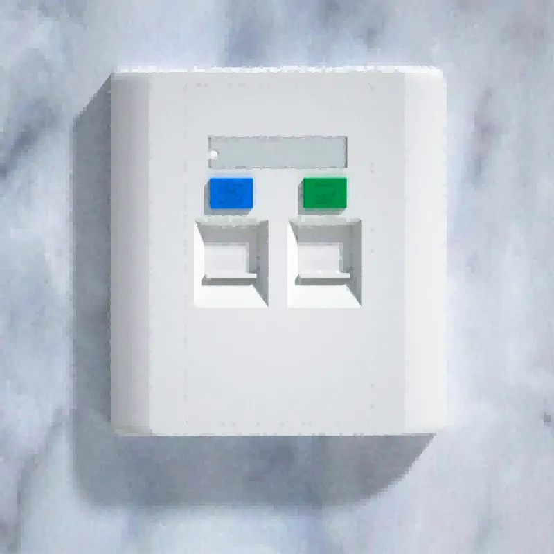 Double ports RJ-45 Wall Network Faceplate Socket OPT-01